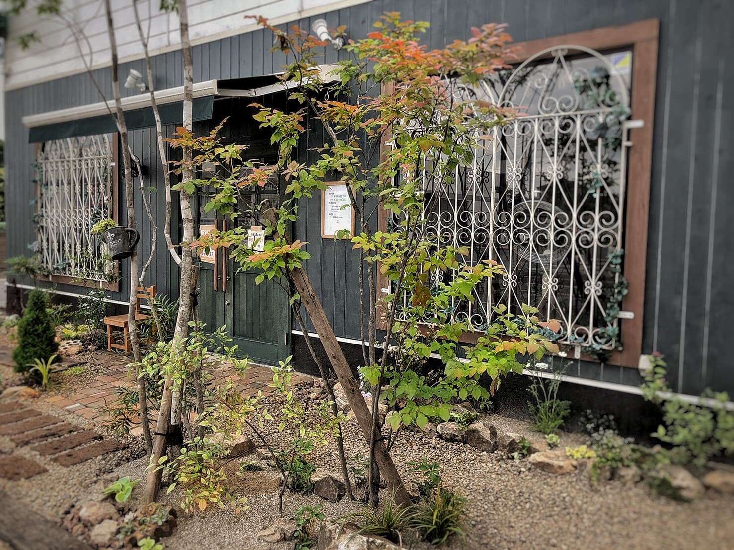 白い窓フェンスと緑色の壁、植物が植えられた庭